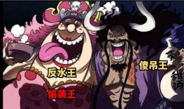 海贼王霍金斯爆料视频,海贼王世界背后的惊人真相